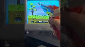 Playing Mario / Duck Hunt