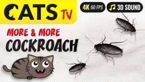 CATS TV - More & more Cockroach 🪳🙀 Game for cats 😻📺 [4K]
