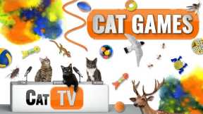 CAT Games | Ultimate Cat TV Compilation Vol 60 | 2 HOURS 🐝🐞🦋🦎🦜🐜🐭🧵