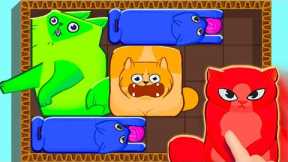 Puzzle Cats Gameplay Walkthrough All Levels iOS, Android - NEW GAME APP (Trailer)