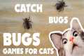 CAT GAMES ★ BUGS on the screen  ★