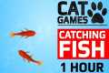 CAT GAMES - 🐟 CATCHING FISH 1 HOUR