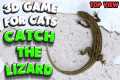 3D game for cats | CATCH THE LIZARD