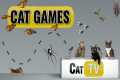 Cat Games | Ultimate Cat TV Bugs and