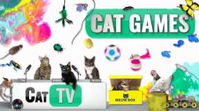 CAT Games | Ultimate Cat TV Compilation Vol 64 | 2 HOURS 🐝🐞🦋🦎🦜🐜🐭🧵