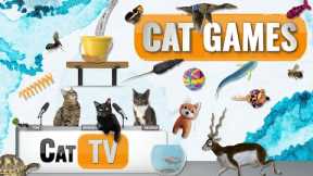 CAT Games | Ultimate Cat TV Compilation Vol 63 | 2 HOURS 🐝🐞🦋🦎🦜🐜🐭🧵