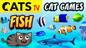 CAT GAMES  🌊📺🐟 FISH Compilation for cats 🐠🙀 4K 60 FPS [3 HOURS]