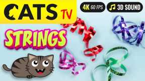 CATS TV - Multicolor STRINGS 🙀🎗️ Real FAST game for cats 😻📺 [4K 60FPS]