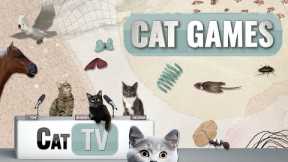 CAT Games | Ultimate Cat TV Compilation Vol 73 | 2 HOURS 🐝🐞🦋🦎🦜🐜🐭🧵