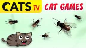 CAT GAMES - Catching HOUSEFLY 🙀🪰  3D crazy flies 60FPS [CATS TV]