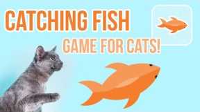 Games for Cats - Catching Fish (best on an iPhone screen/an iPad)