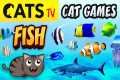 CAT GAMES  🌊📺🐟 FISH Compilation