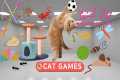 CATS GAME - Collection Of Insects And 