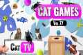 CAT Games | Ultimate Cat TV