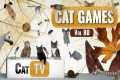 CAT Games | Ultimate Cat TV