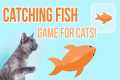 Games for Cats - Catching Fish (best