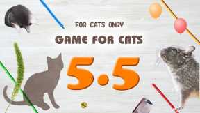 【CAT GAMES】MIX5.5 Rope,Mouse,etc.30min.