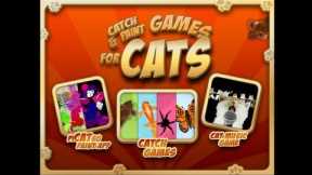 Catch & Paint Games for Cats - cat iPad game demo