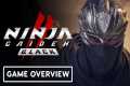 Ninja Gaiden 2 Black - Game Overview